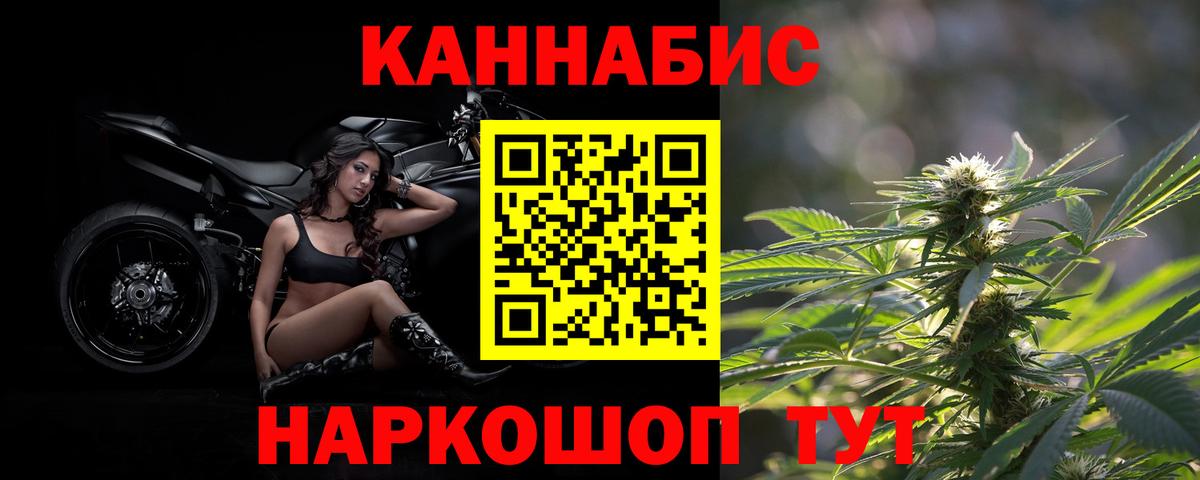 Канабис семена Славгород